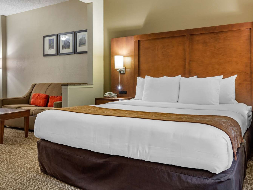 Comfort Suites Raleigh Walnut Creek主图