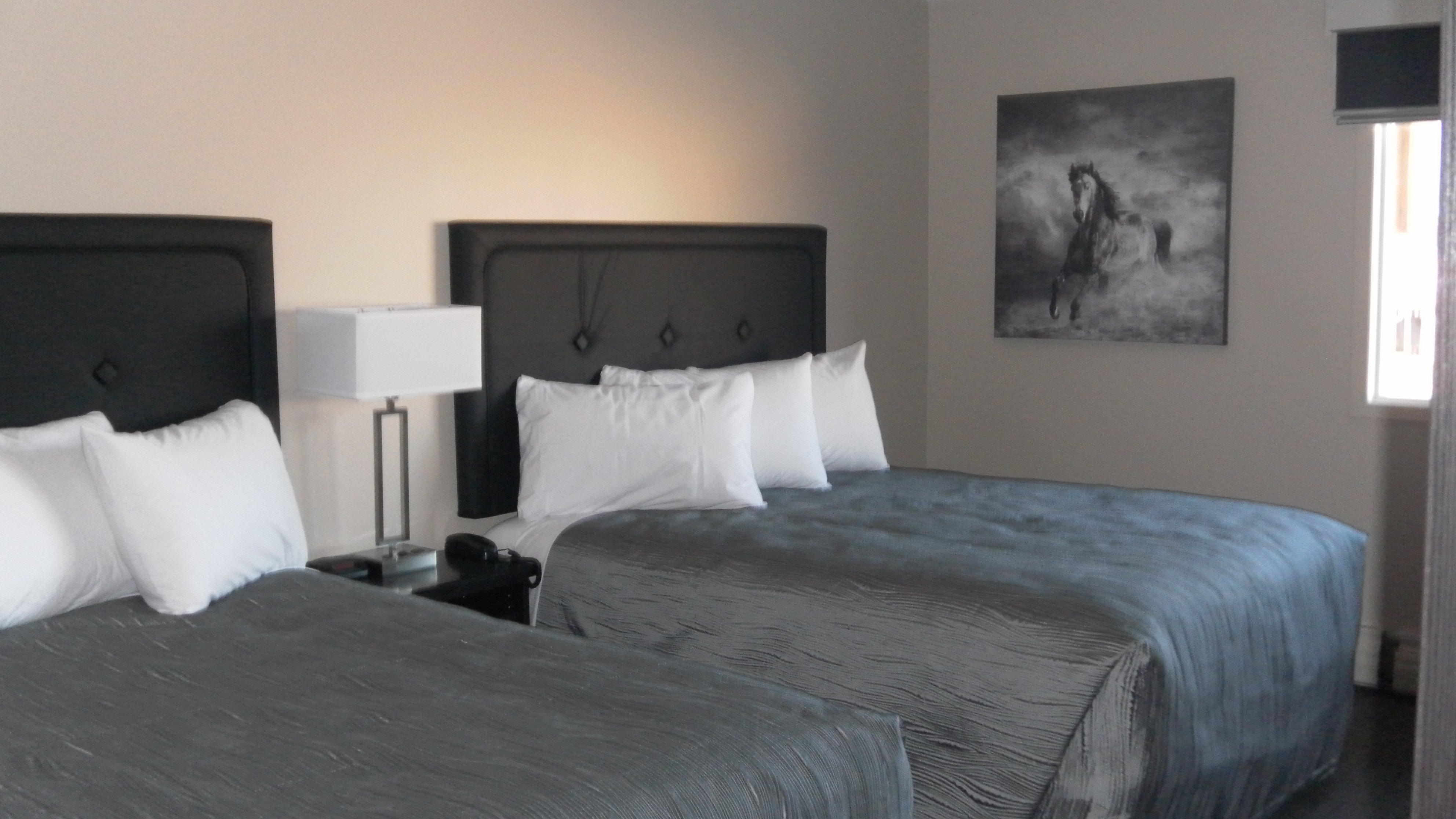 Stampeder Inn-官方