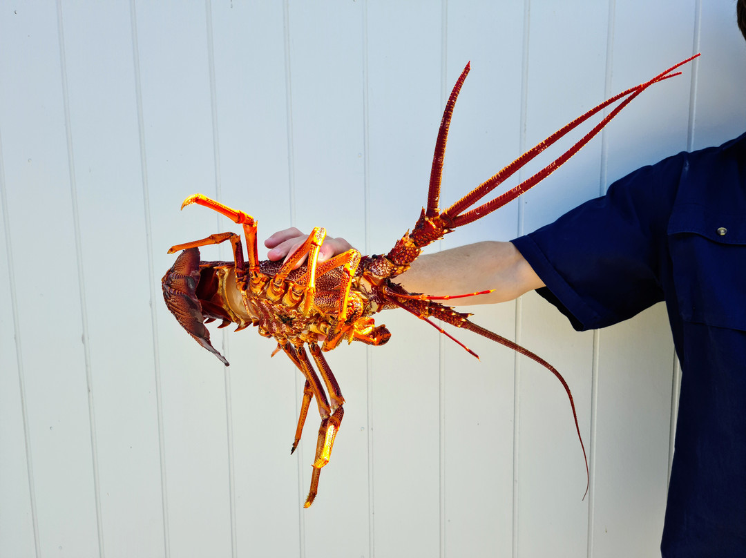 The Lobster Pot Beachport景点图片