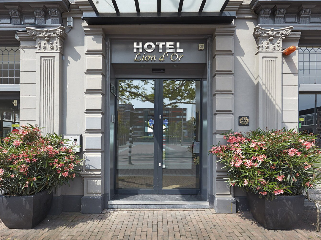 Hotel Lion D'Or主图