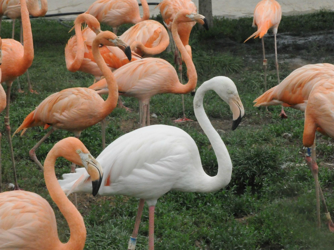 哈尔滨北方森林动物园-哈尔滨市必去景点