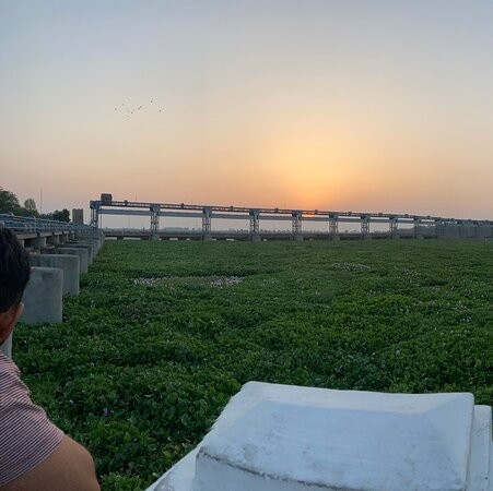 Harike Wetland and Bird Sanctuary景点图片