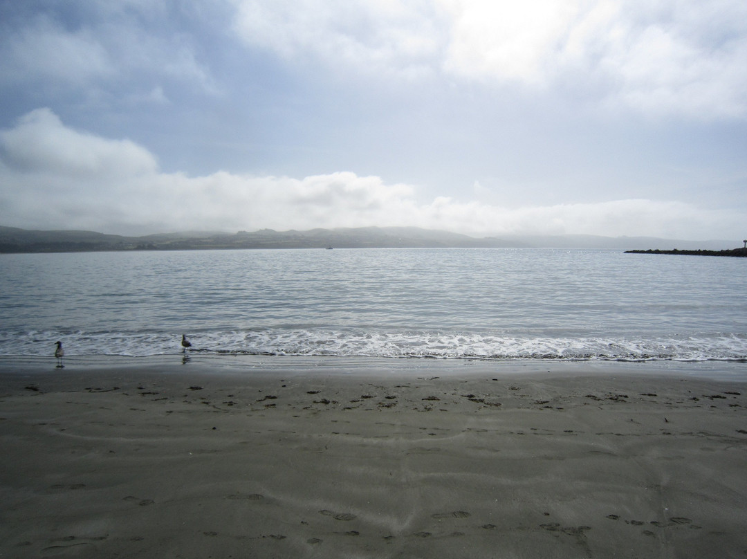 Doran Beach景点图片