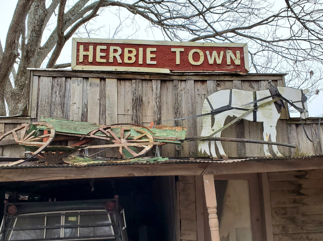 Herbie Town景点图片