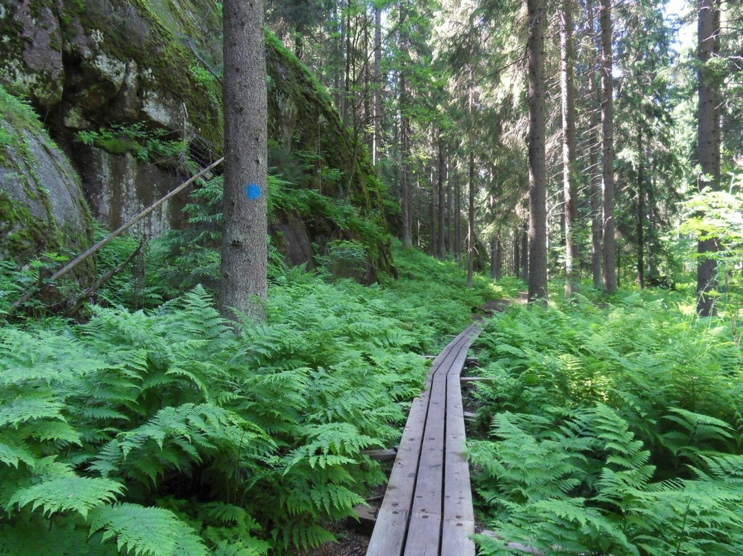 Niivermaki Nature Conservation Area