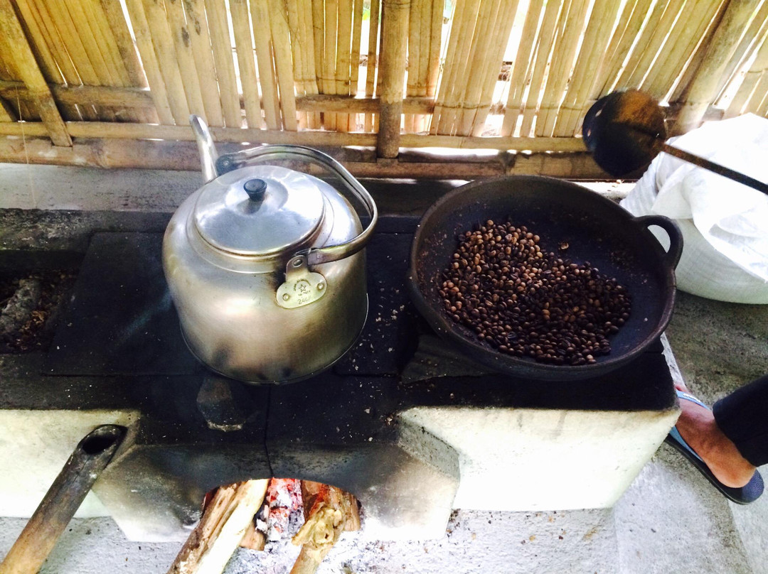 Ubud Sari Coffee Luwak Agrotourism