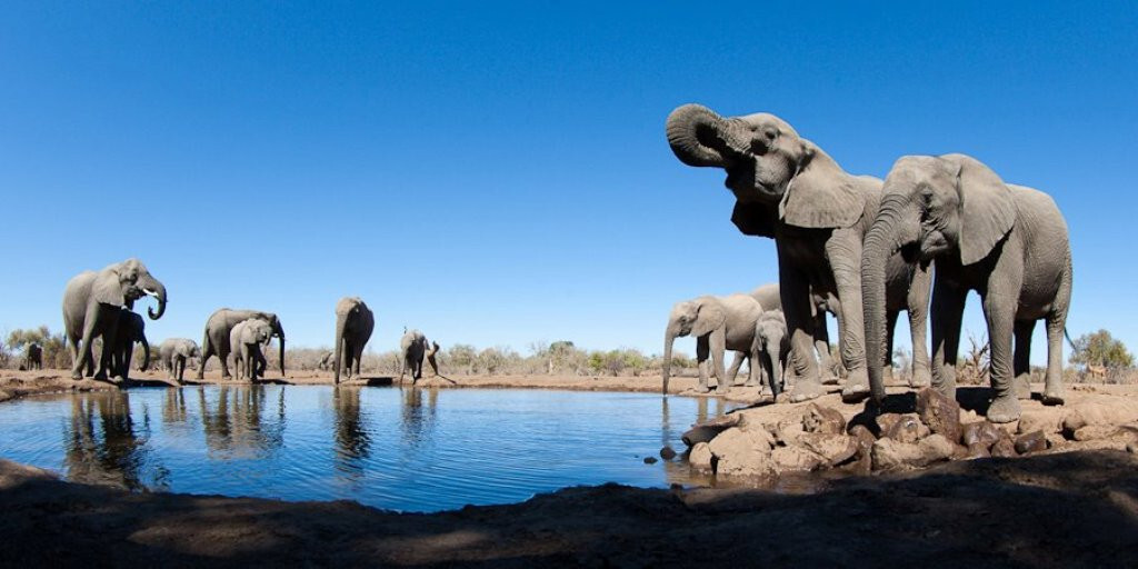 Eyes On Africa Safaris