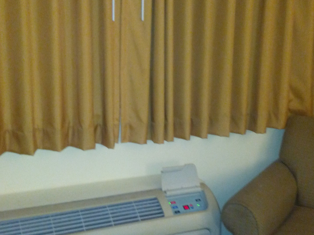 斯克内克塔迪戴斯酒店