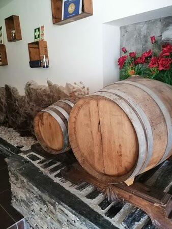 Tomas Barqueiro主图