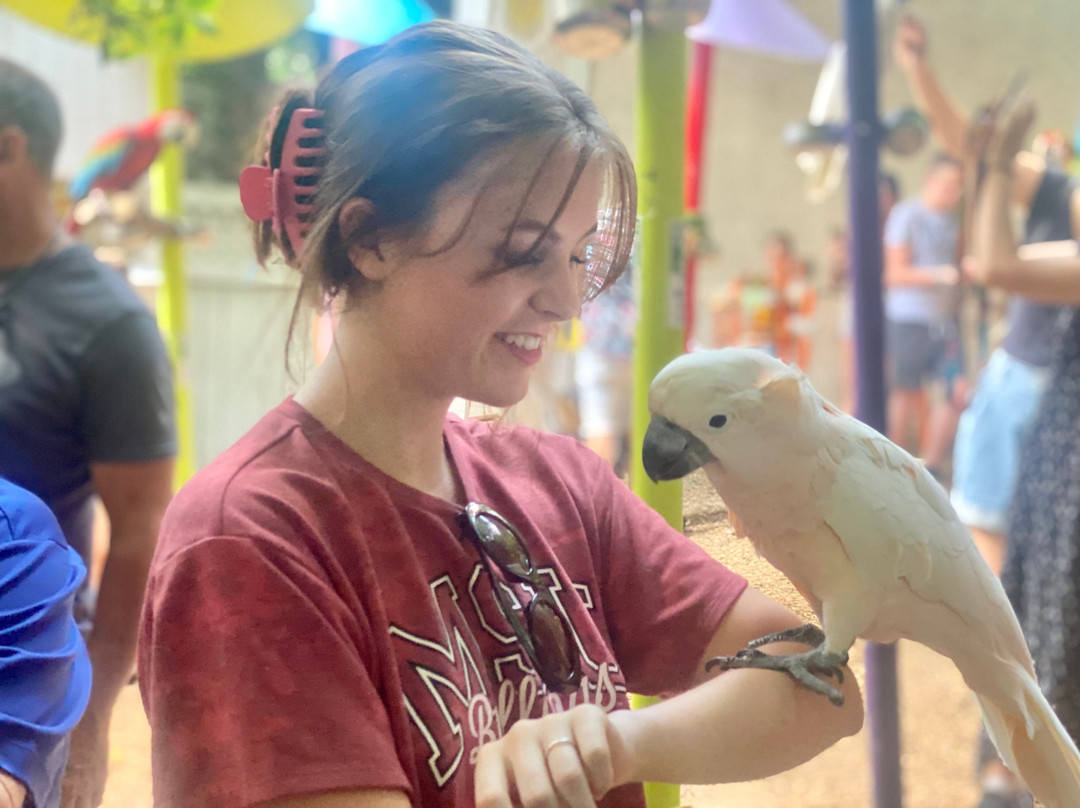 Parrot Mountain & Gardens-皮金福奇必去景点