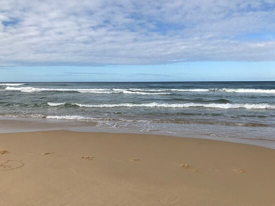 Davis Creek Beach景点图片