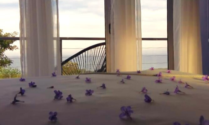 Purple Haze Eco Lodge