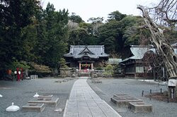 Shirahama Jinja Shrine景点图片