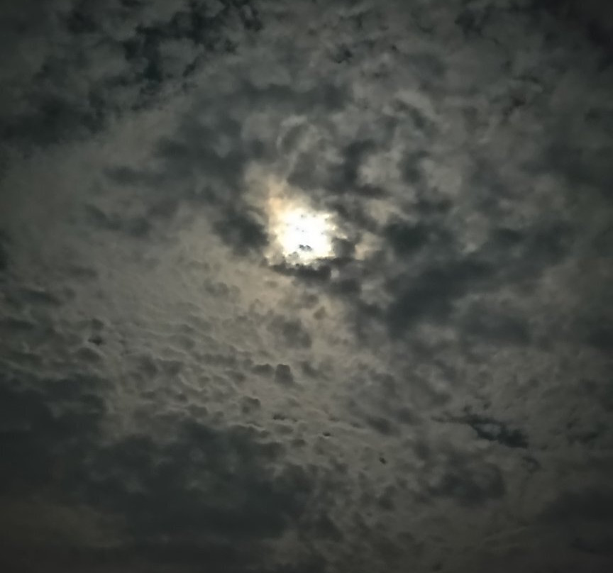 Hotel Mayura Sangama Mekedatu主图