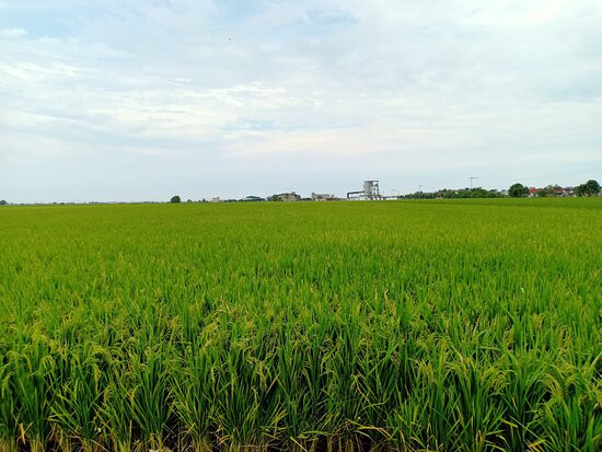 Ah Ma House-适耕庄必去景点