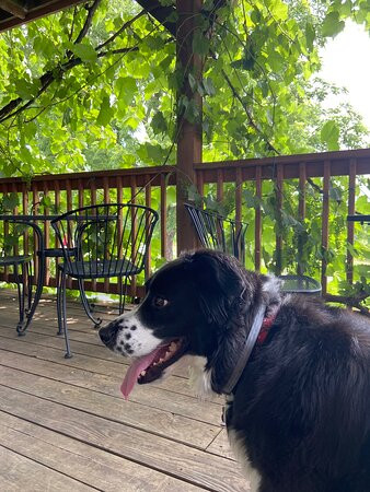 Shenandoah Vineyards-Edinburg必去景点