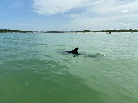 Mid Island Water Sports-迈尔斯堡海滩必去景点
