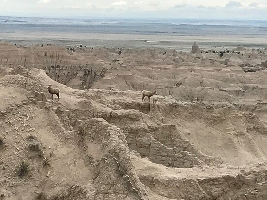 Badlands Overlook-Medora必去景点