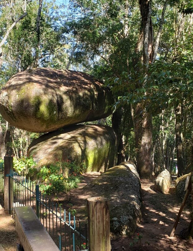 Parque Municipal da Pedra Montada景点图片