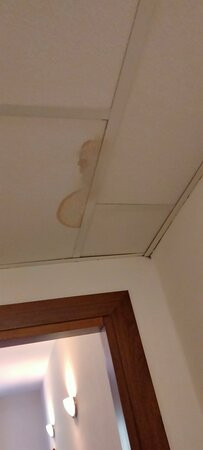 论坛宫酒店主图