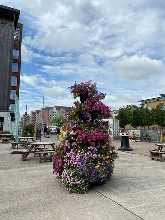 Portishead Marina-Portishead必去景点