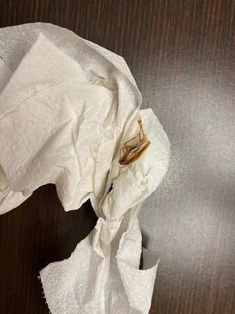 Best Western Exeter Inn & Suites主图