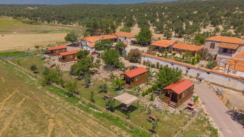 Sural Ciftligi-官方