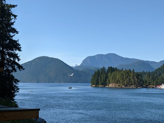 Backeddy Resort & Marina主图