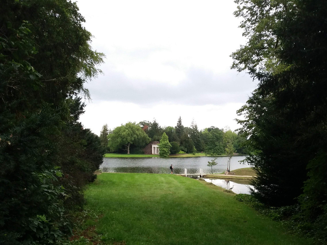 Worlitzer Park景点图片