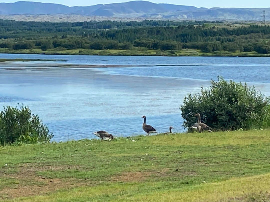 克日恩斯酒店主图