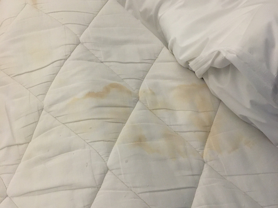 蒙特拉姆堂维尔宾馆主图