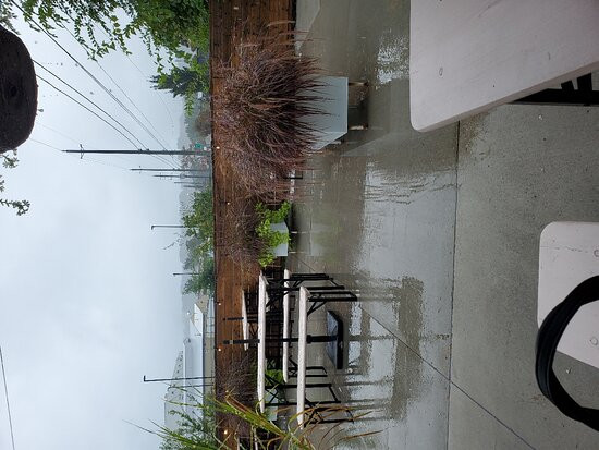 Grain & Grit Beer Co.-汉密尔顿必去景点