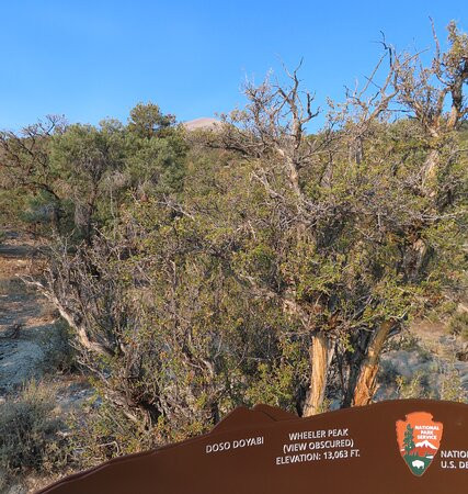 Mountain View Nature Trail-Baker必去景点