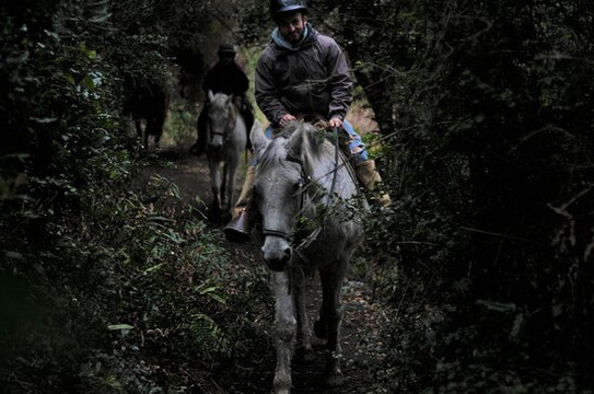 Alanca-巴拉斯港必去景点