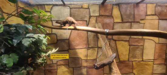 The Children's Museum-西哈特福德必去景点