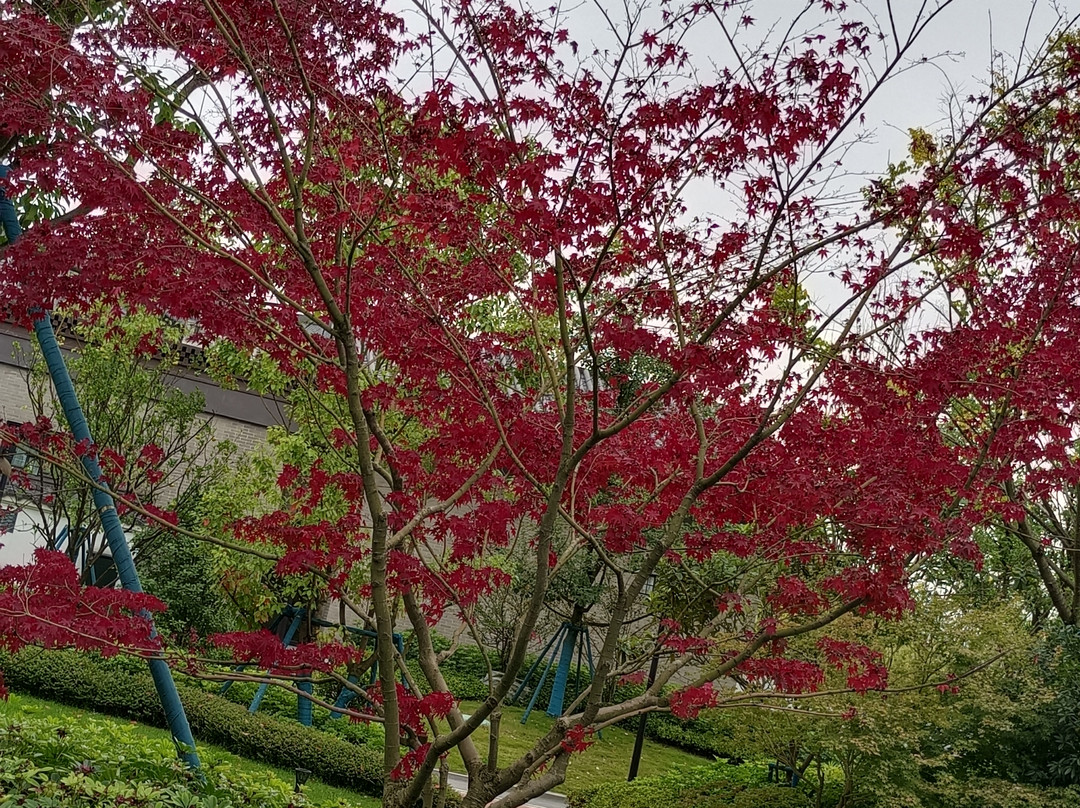 成都融创施柏阁酒店主图