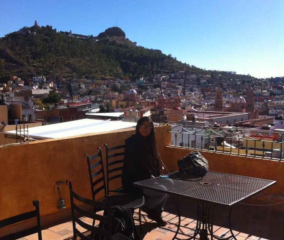 Fresnillo酒店住宿-Hostal Los Gallos