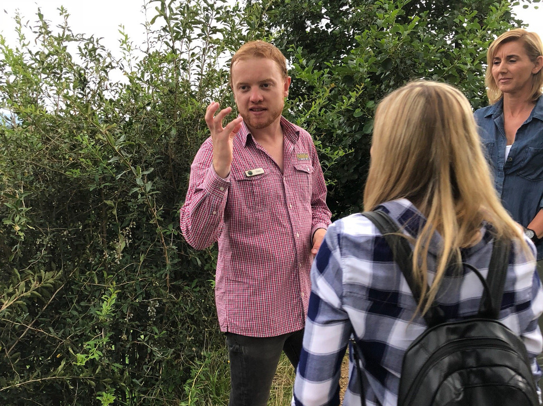 Eldonwood Bed & Breakfast主图