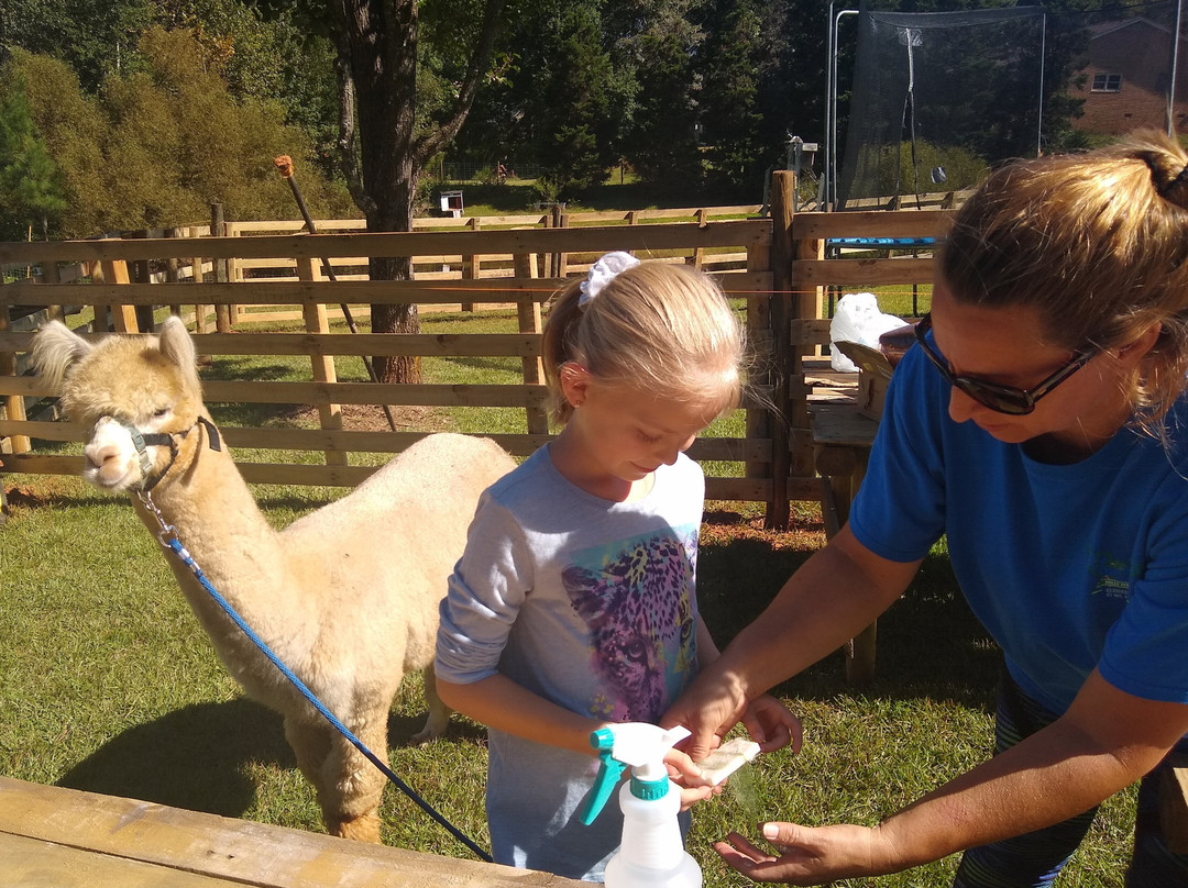 Buddy's Alpaca Farm
