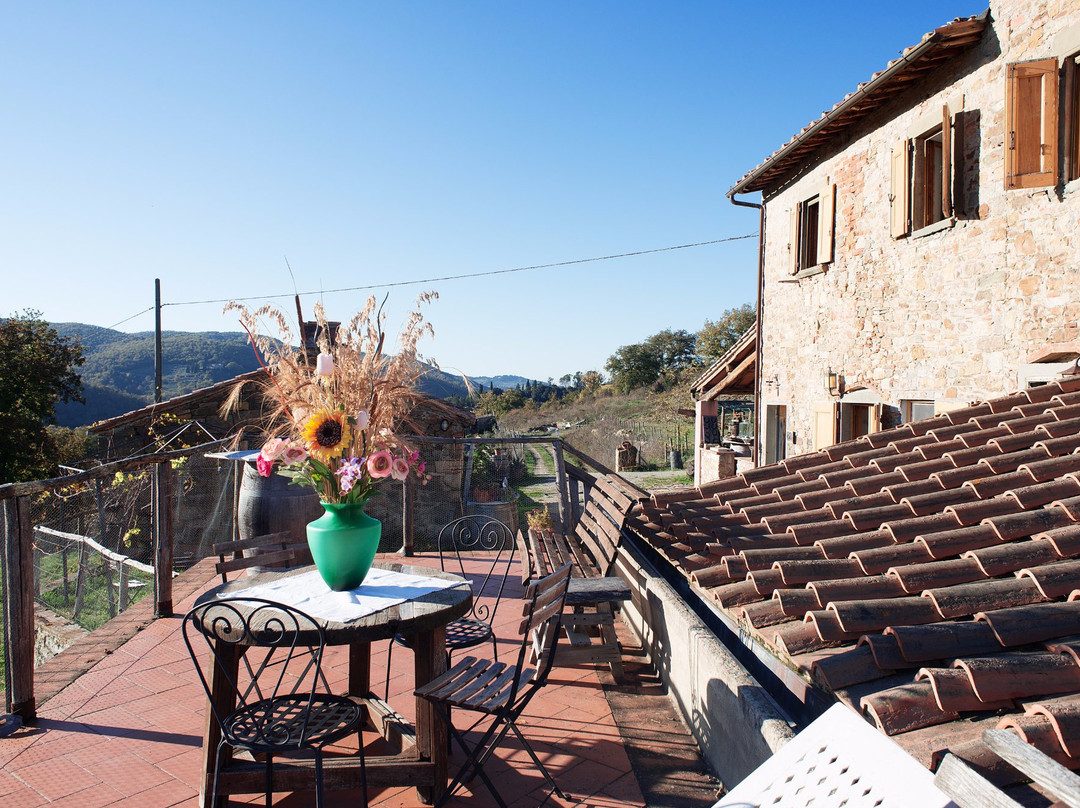 Agriturismo Podere Tegline