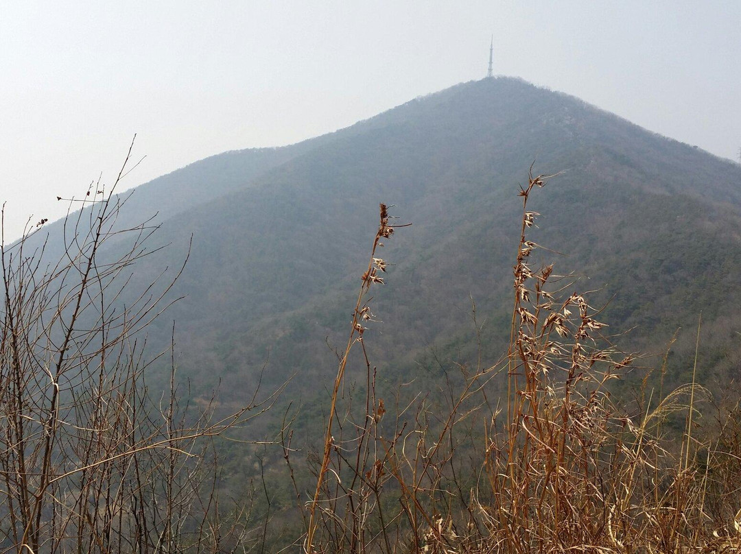 Gyeyangsan Mountain景点图片