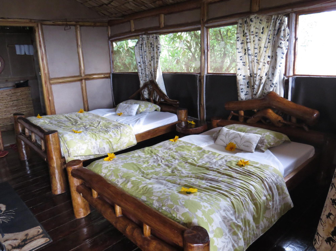 Gorilla Mist Camp