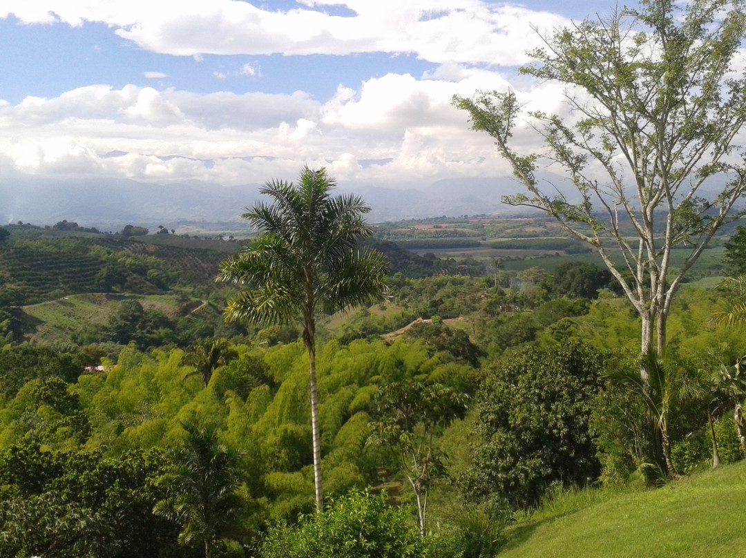 La Tebaida旅游攻略图片