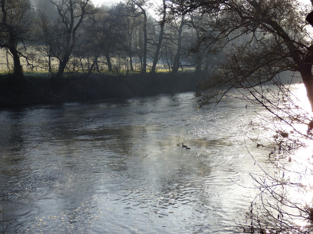 Duffield Millennium Meadow景点图片