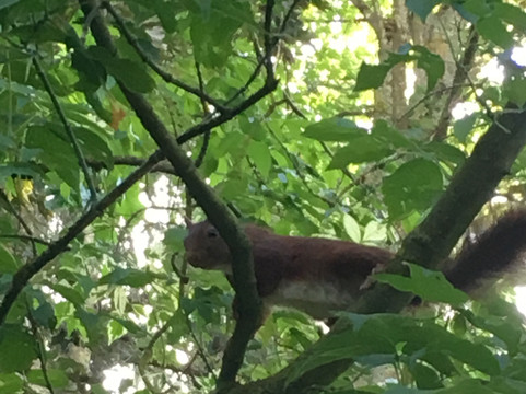 Saint-Loup-de-Naud旅游攻略图片