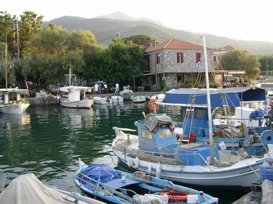 Skala Sikamineas旅游攻略图片