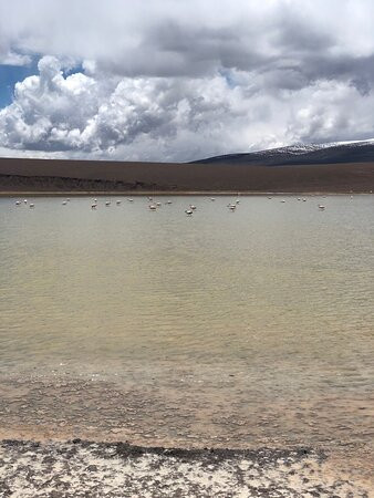 Laguna Brava Provincial Reserve-拉里奥哈必去景点