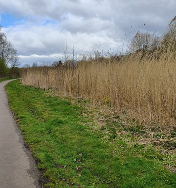 Millbrook Millennium Green-Kirkby必去景点