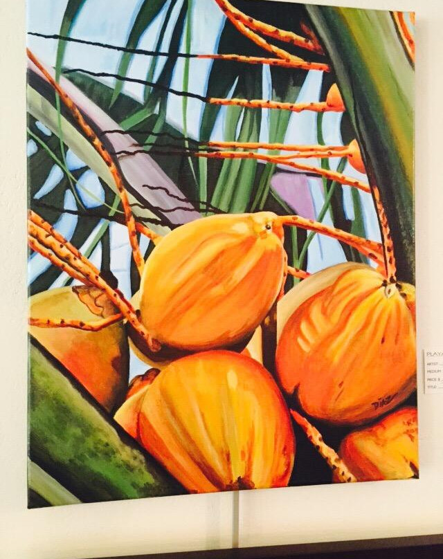 Playa Oeste Gallery-吕康必去景点