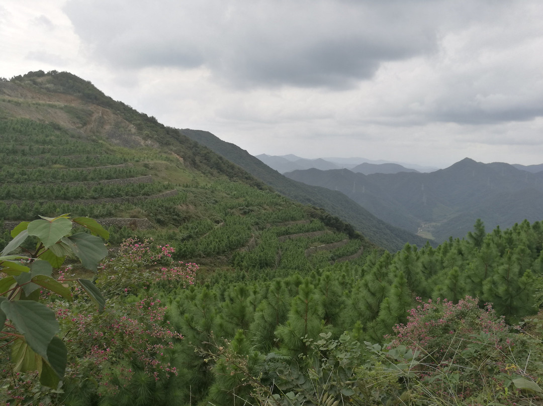 北仑九峰山景点图片